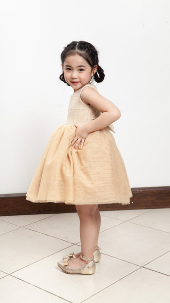 Sleeveless Midi Tulle Dress - Beige Tweed