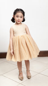 Sleeveless Midi Tulle Dress - Beige Tweed