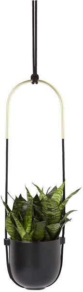 Umbra Bolo Hanging Planter