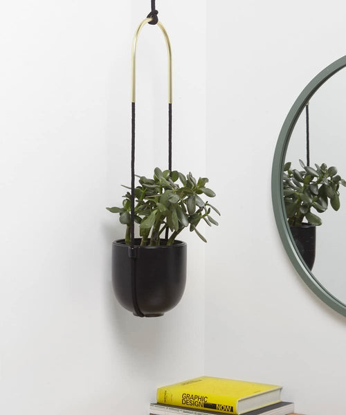 Umbra Bolo Hanging Planter