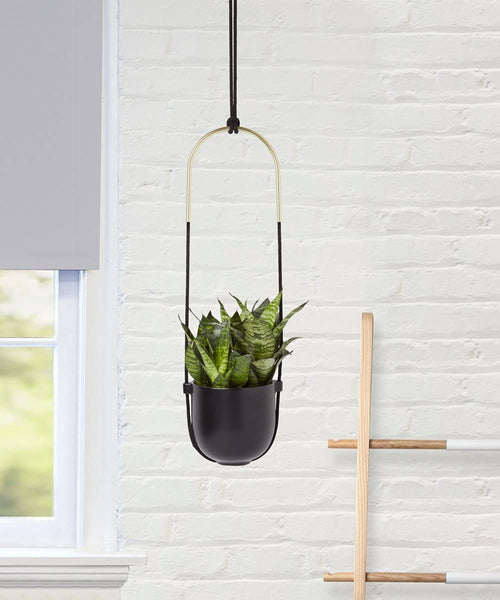 Umbra Bolo Hanging Planter