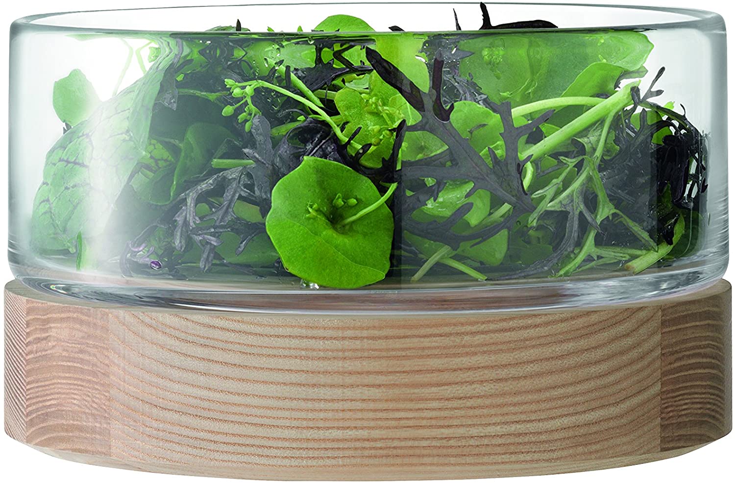 LSA Lotta Bowl and Ash Base 22cm