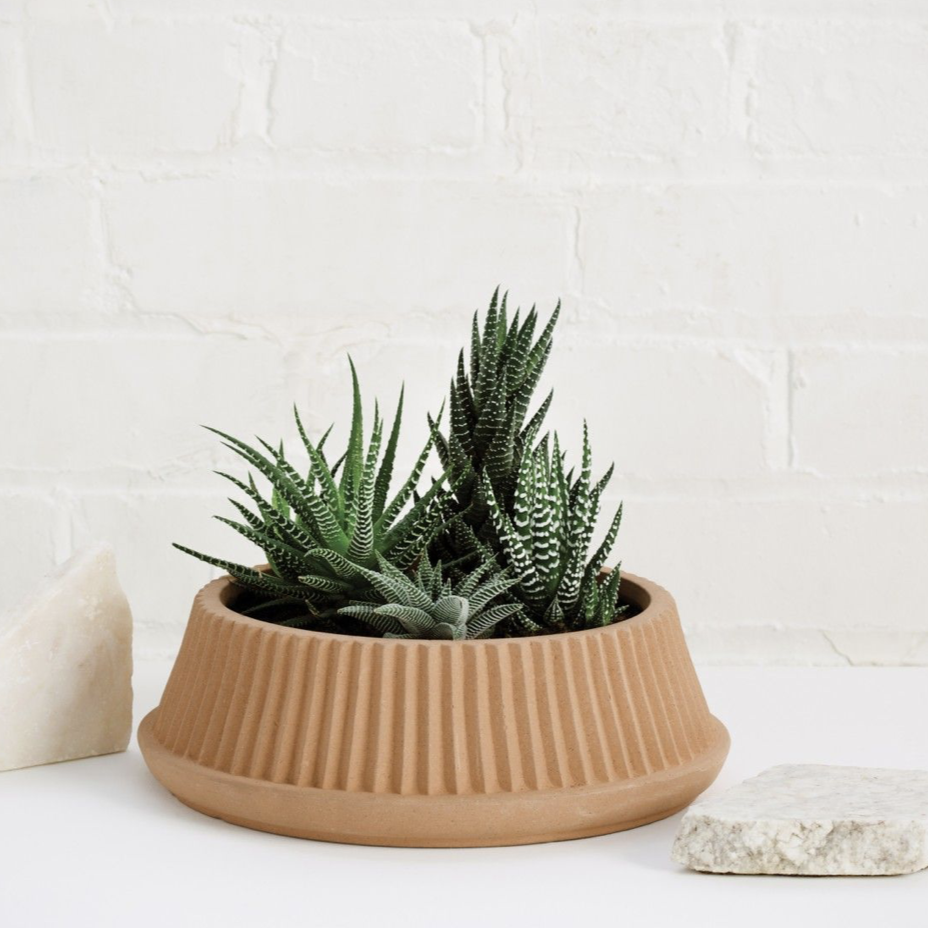 Umbra Shift Pleated Dish Earthenware