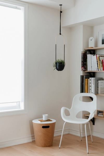 Umbra Bolo Hanging Planter
