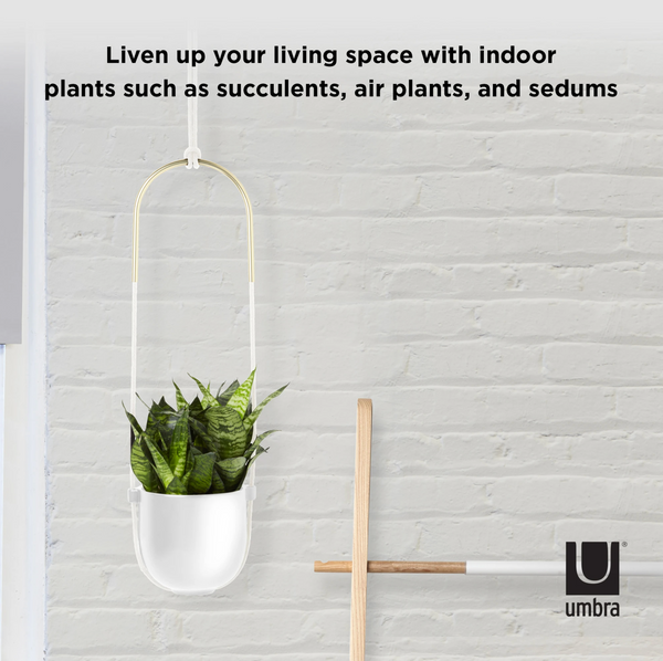 Umbra Bolo Hanging Planter