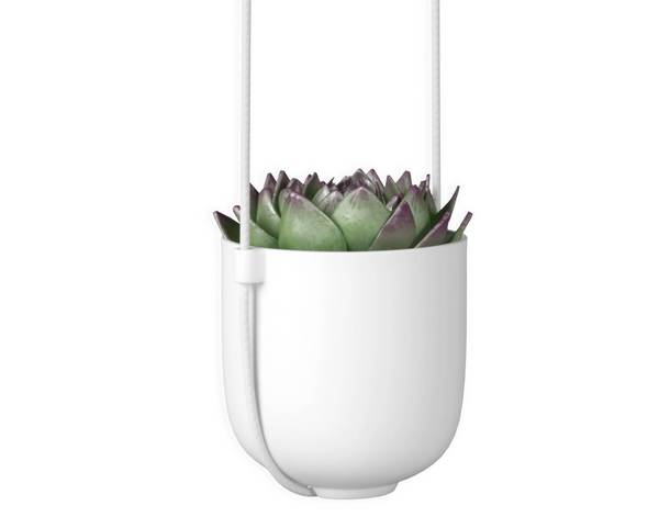 Umbra Bolo Hanging Planter