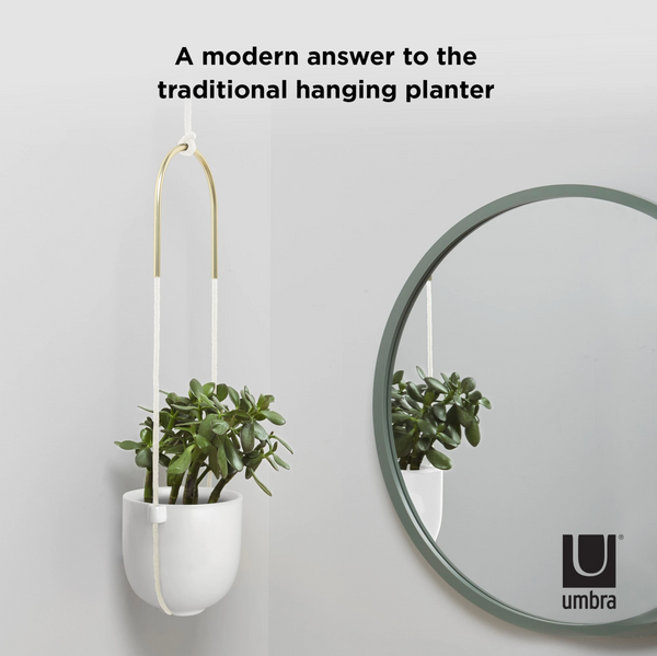 Umbra Bolo Hanging Planter
