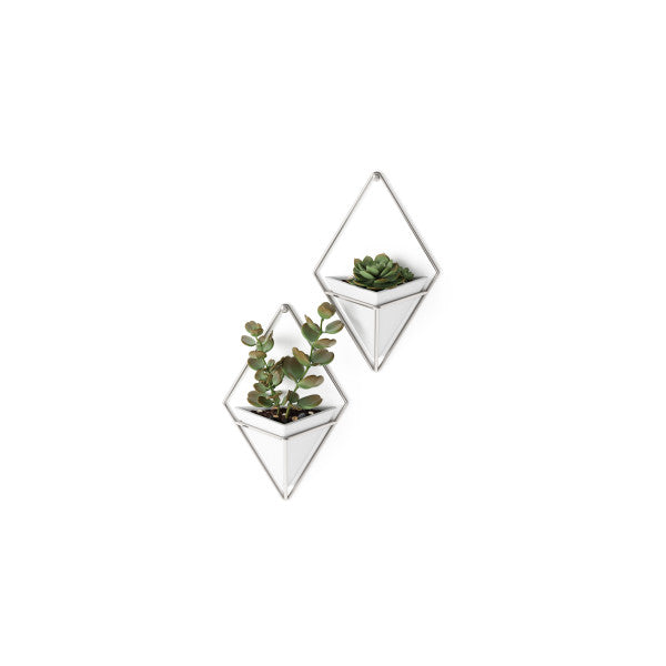 Umbra White/Nickel Trigg Wall Display (Set of 2)