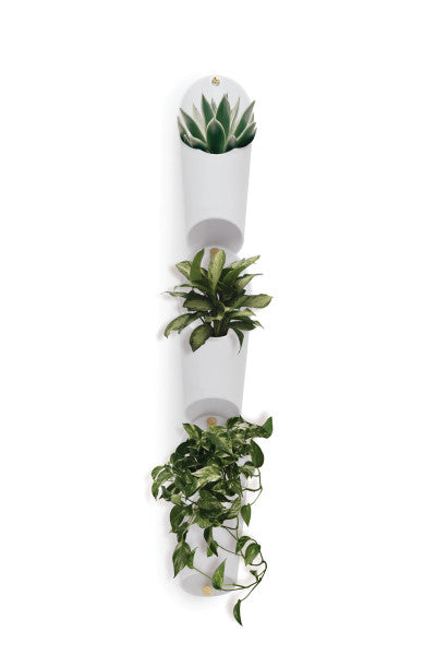 Umbra Floralink Wall Vessels
