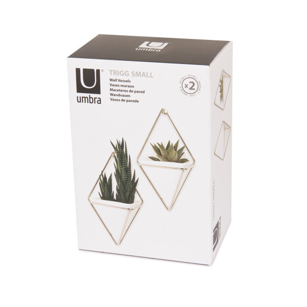 Umbra White/Nickel Trigg Wall Display (Set of 2)