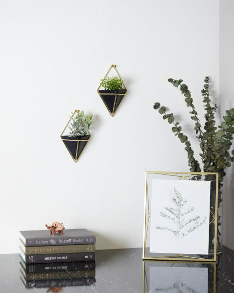 Umbra Black/Brass Trigg Wall Display (Set of 2)