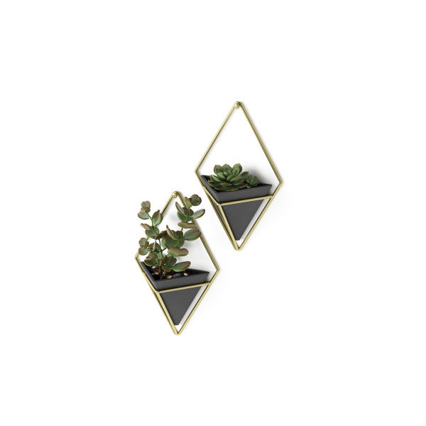 Umbra Black/Brass Trigg Wall Display (Set of 2)