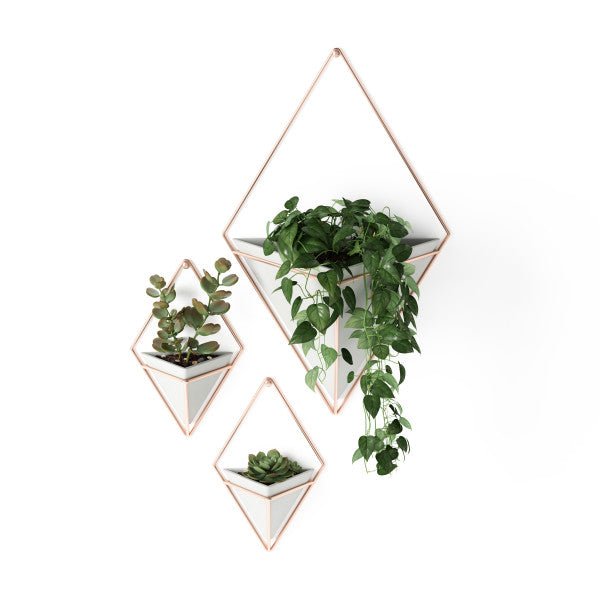 Umbra Concrete/Copper Trigg Wall Display (Set of 2)
