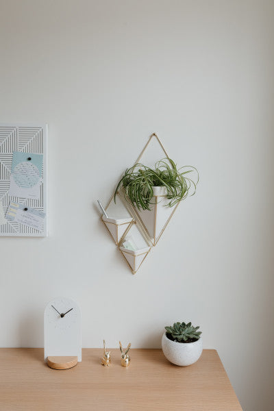 Umbra White/Brass Trigg Wall Display (Set of 2)