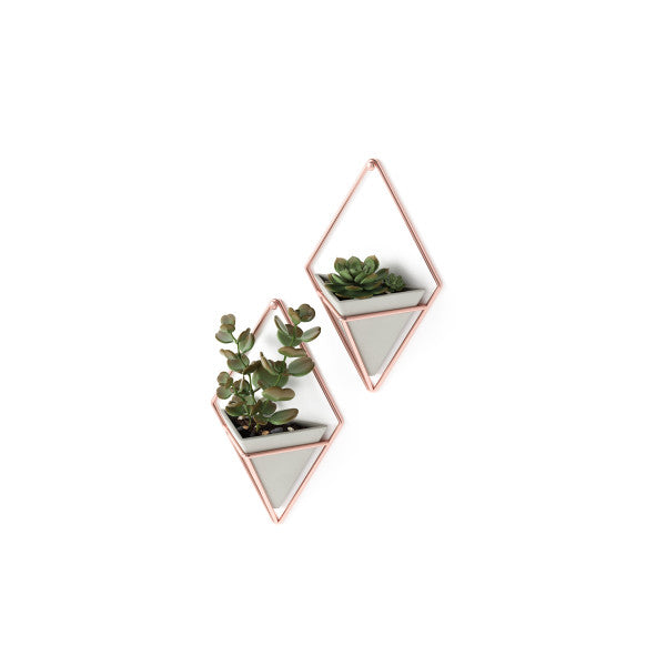 Umbra Concrete/Copper Trigg Wall Display (Set of 2)