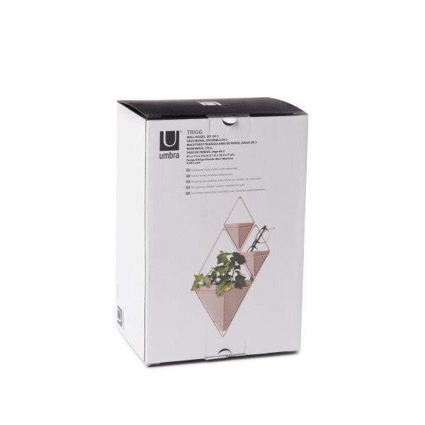 Umbra Concrete/Copper Trigg Wall Display (Set of 2)