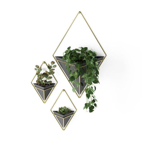 Umbra Black/Brass Trigg Wall Display (Set of 2)