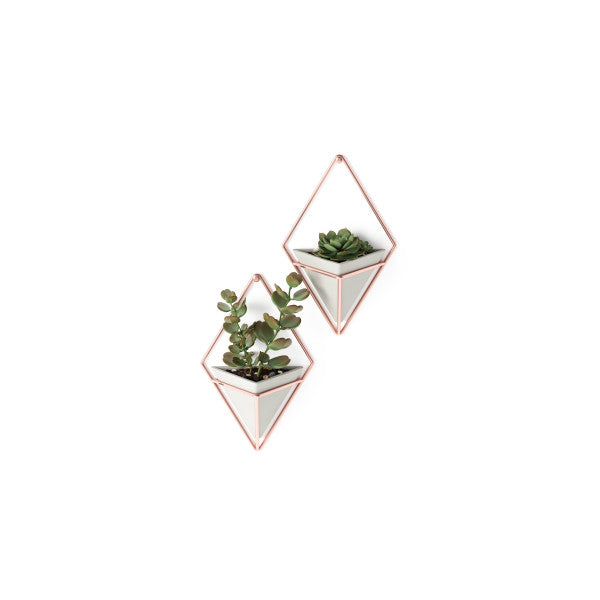 Umbra Concrete/Copper Trigg Wall Display (Set of 2)