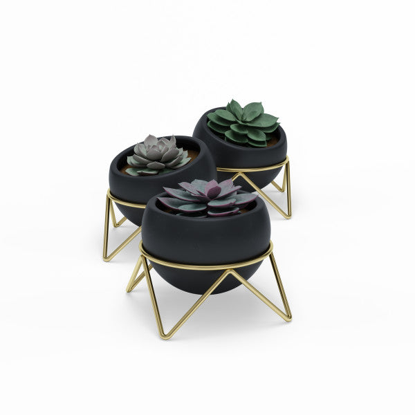 Umbra Black Potsy Planter, Set of 3