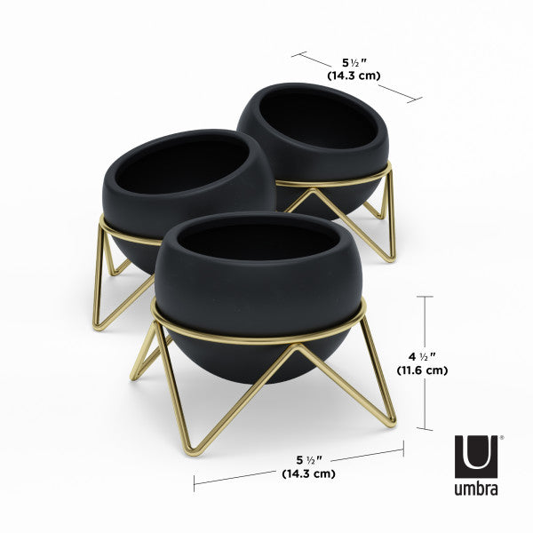 Umbra Black Potsy Planter, Set of 3