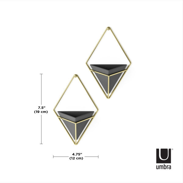 Umbra Black/Brass Trigg Wall Display (Set of 2)