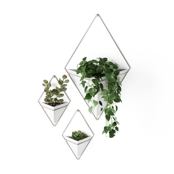 Umbra White/Nickel Trigg Wall Display (Set of 2)