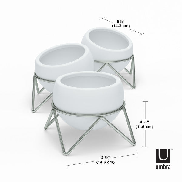 Umbra White Potsy Planter, Set of 3