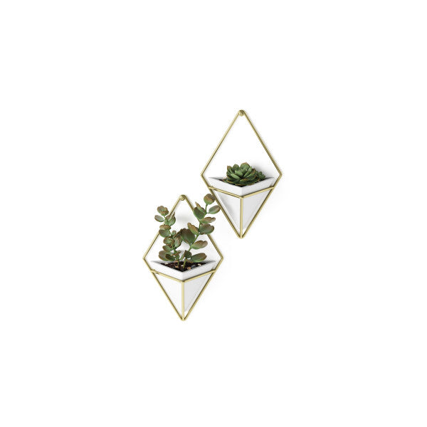 Umbra White/Brass Trigg Wall Display (Set of 2)