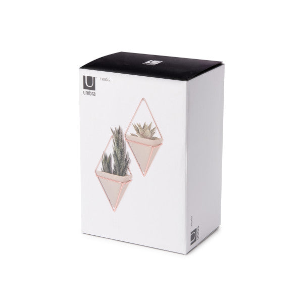 Umbra Concrete/Copper Trigg Wall Display (Set of 2)