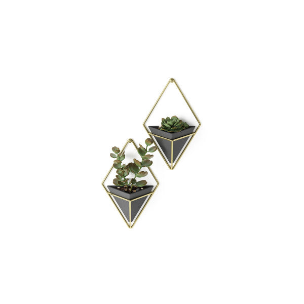 Umbra Black/Brass Trigg Wall Display (Set of 2)