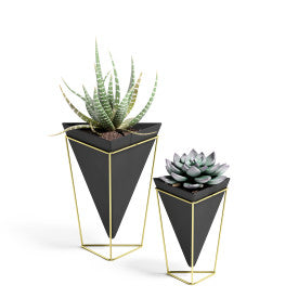 Umbra Trigg Tabletop Vessels Set (2) SM+LG BLK/BRS