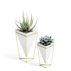 Umbra Trigg Tabletop Vessels Set (2) SM+LG WHT/BRAS
