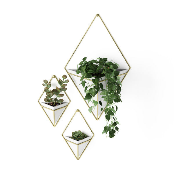 Umbra White/Brass Trigg Wall Display (Set of 2)