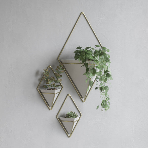 Umbra White/Brass Trigg Wall Display (Set of 2)
