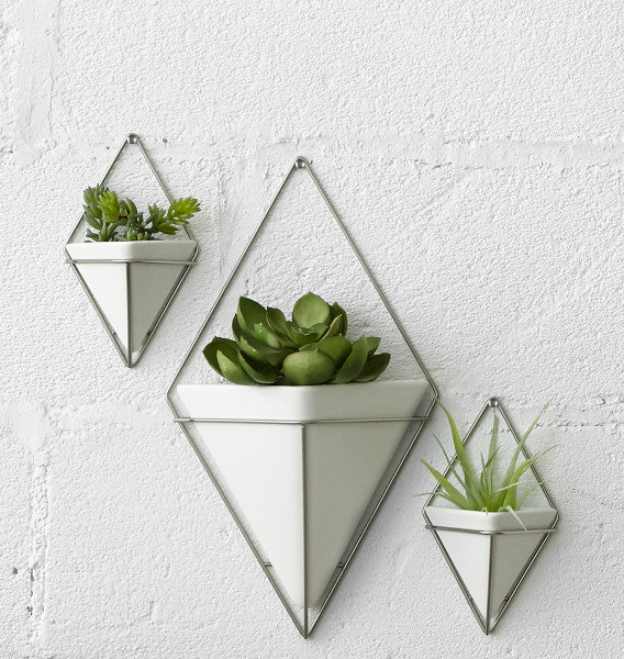 Umbra White/Nickel Trigg Wall Display (Set of 2)