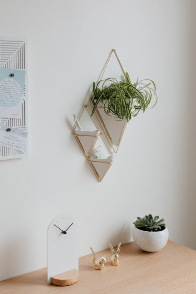 Umbra White/Brass Trigg Wall Display (Set of 2)